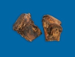THE CONTENDER BONE