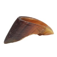 RB COW HOOVES 75CT