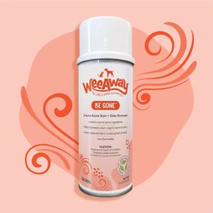 BE GONE STAIN REMOVER 15OZ SPR