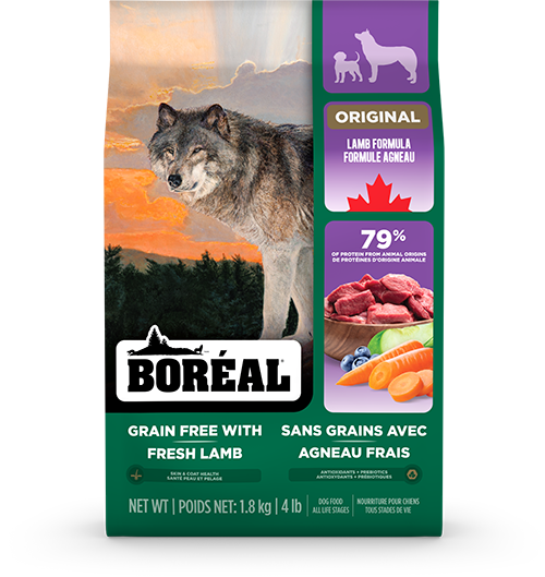 BOREAL GRAIN FREE LAMB FORMULA