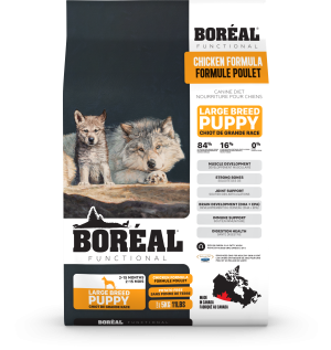 068856004337 BOREAL LARGE BREED PUPPY