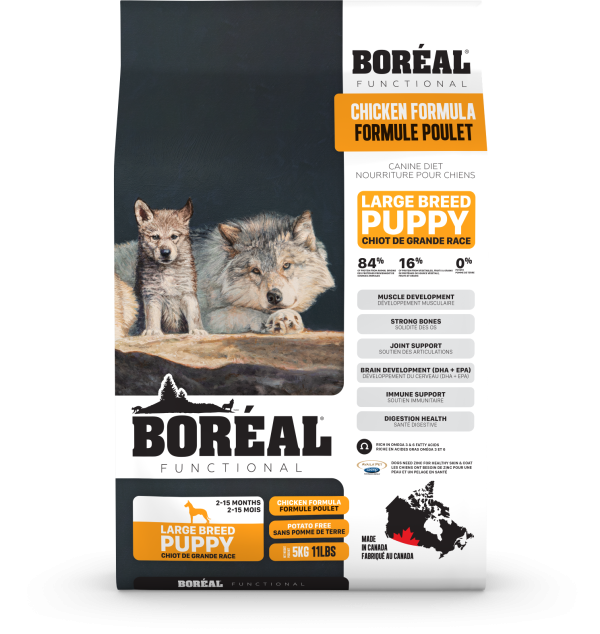 068856004337 BOREAL LARGE BREED PUPPY