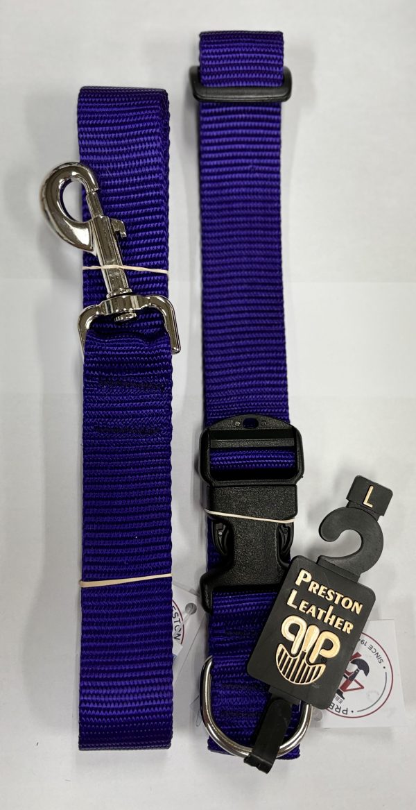 PURPLE NYLON COLLAR 3/4 INCH