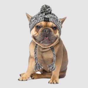 628284018650 POLAR POM POM HAT CHARCOAL S