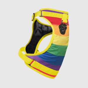 EVERTHING HARNESS RAINBOW