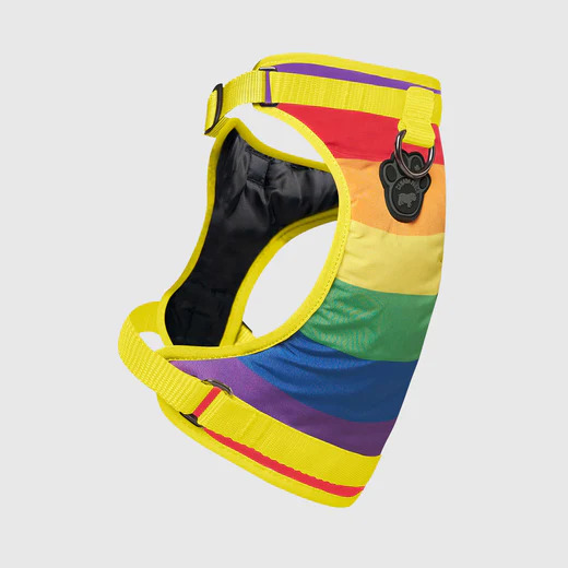 628284115021 EVERTHING HARNESS RAINBOW