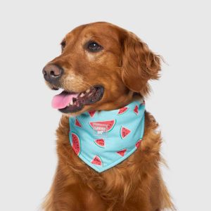 628284127277 COOLING BANDANA WATERMELON S