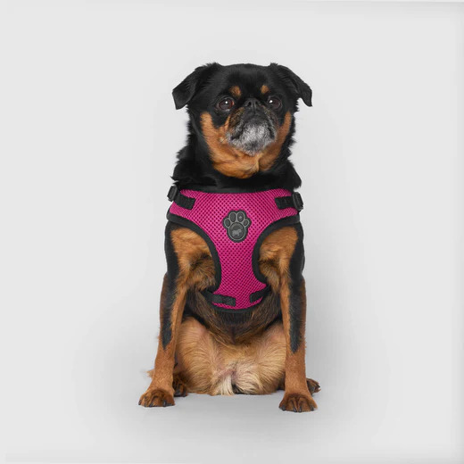 628284128069 CANADA POOCH EASY-IN STEP IN HARNESS PLUM