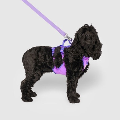 628284131632 MAX CHILL COOLING HARNESS PURPLE