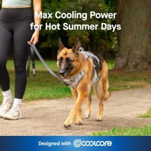 628284131687 MAX CHILL COOLING HARNESS GREY