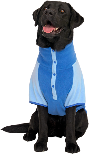 WEATHER-RESISTANT FLEECE PULLOVER ELECTRIC BLUE