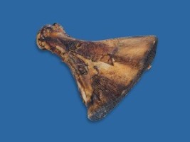BB PADDLE BONE EACH