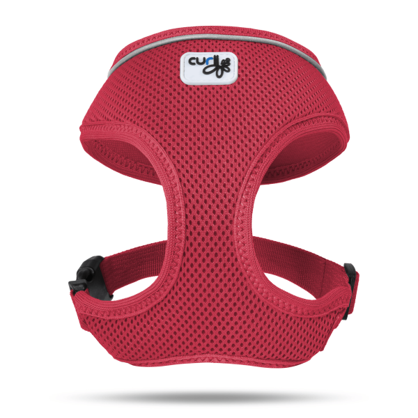 CURLI BASIC HARNESS RED
